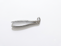 Lower Molar forceps